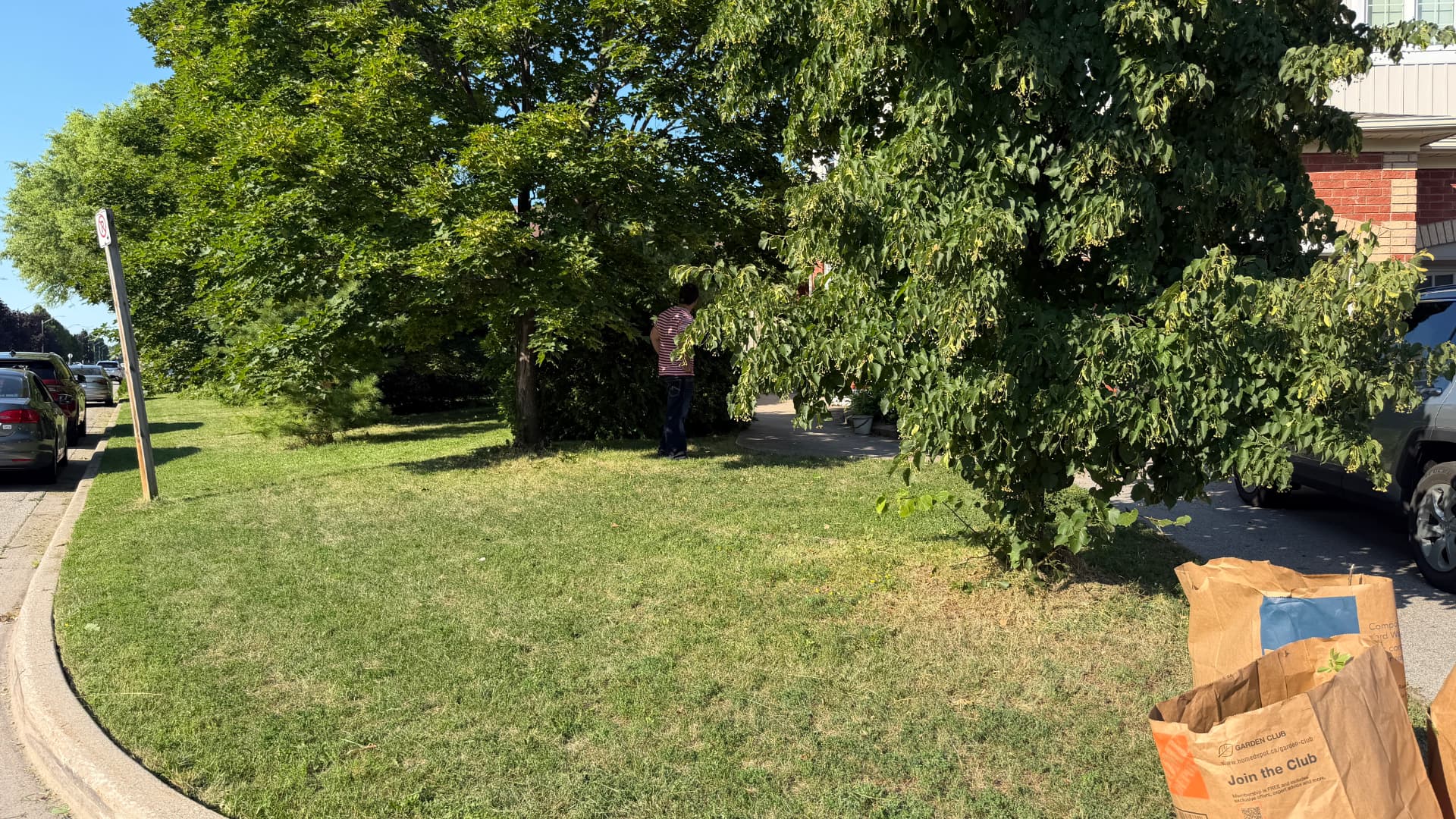 Front lawn mowed and trimmed with yard waste bagged for pickup