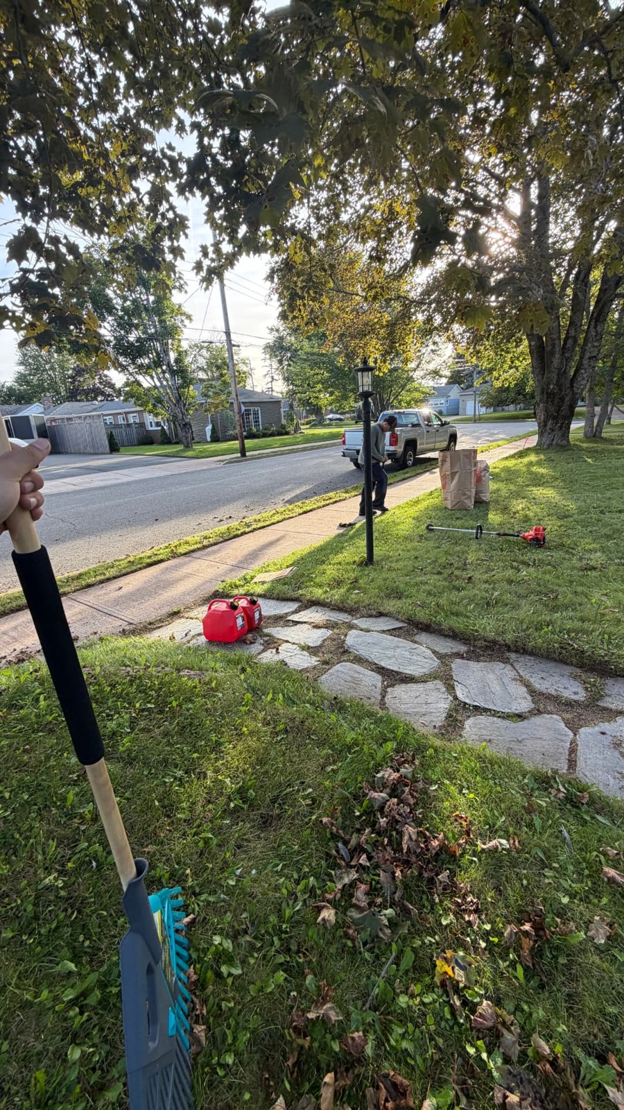Street-side cleanup with raking, trimming, and bagged leaves