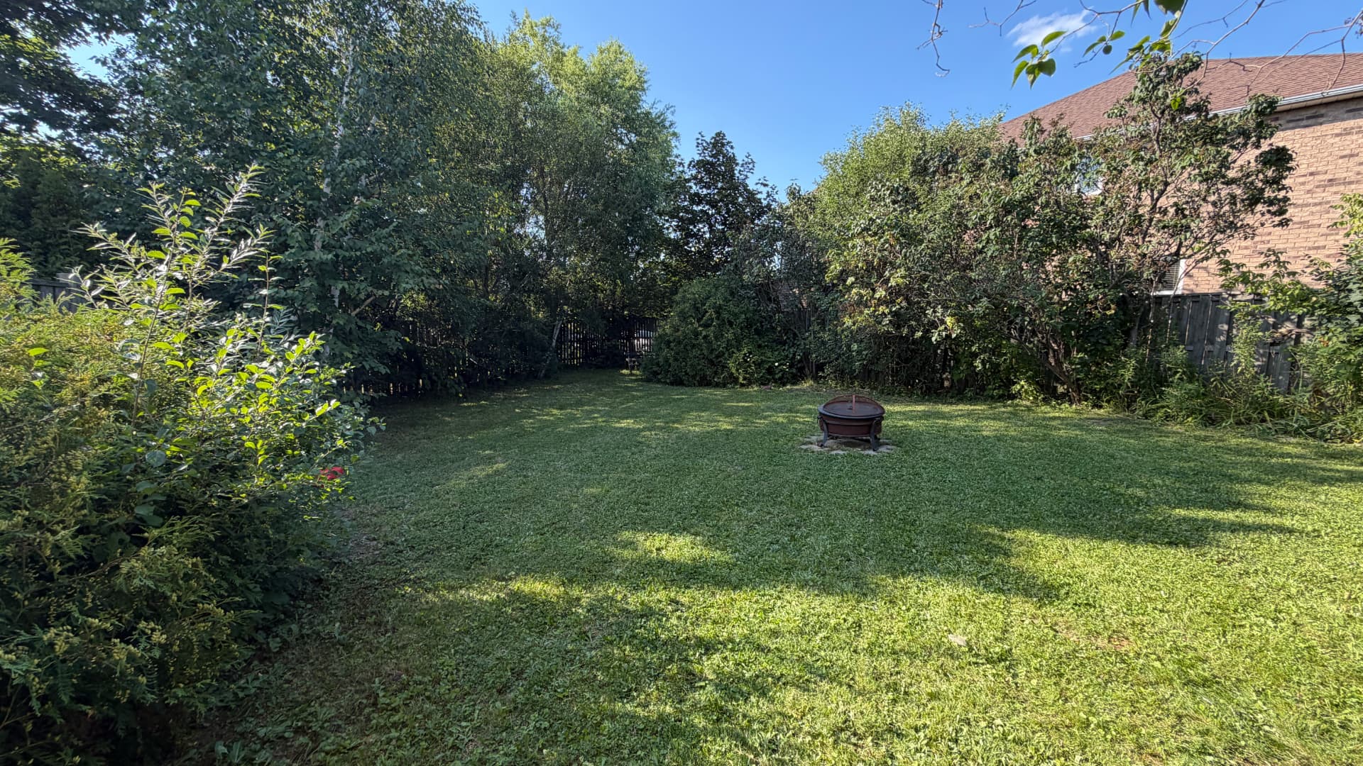 Trimmed backyard lawn framed by maintained hedges and trees