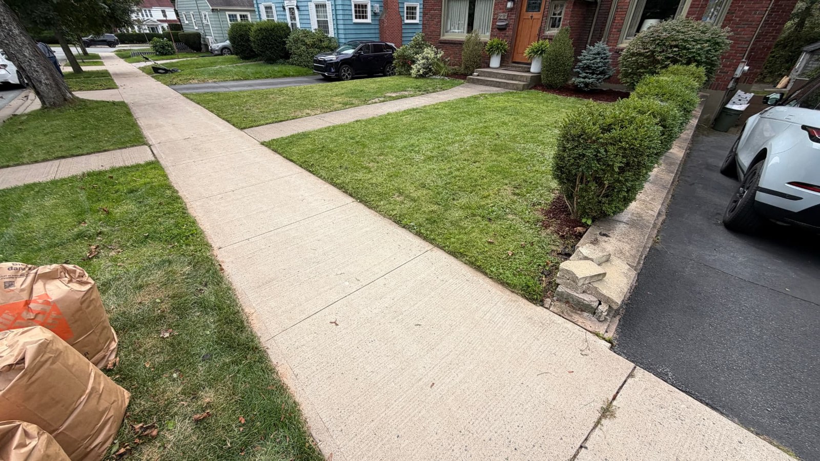 Tidy sidewalk edges and front lawn after yard cleanup