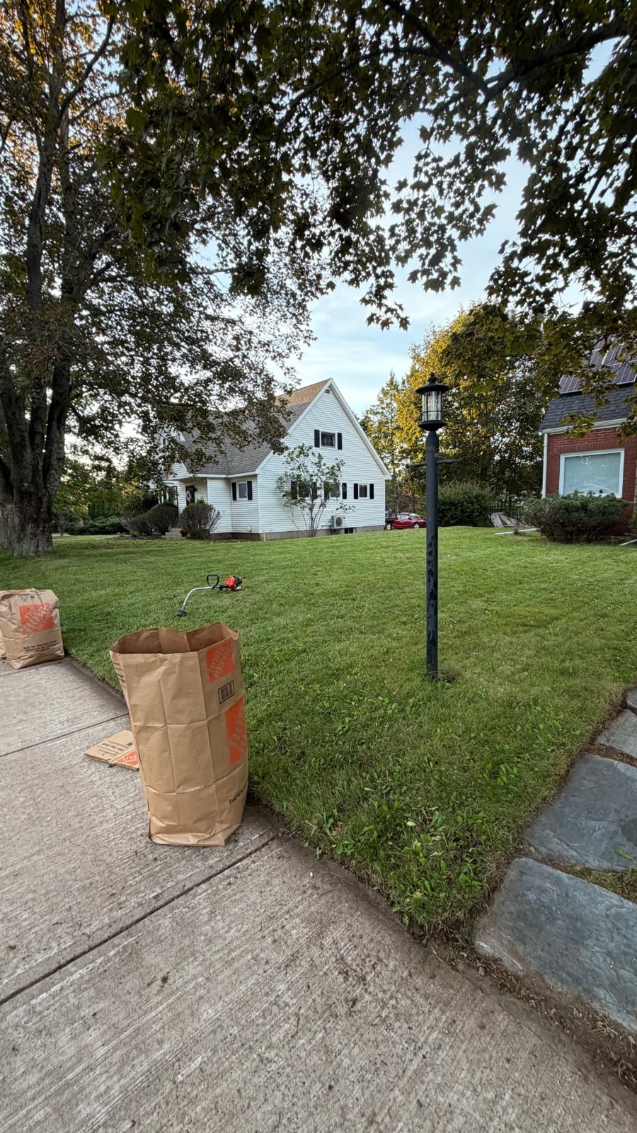 Front yard cleanup with leaves collected in paper yard waste bags