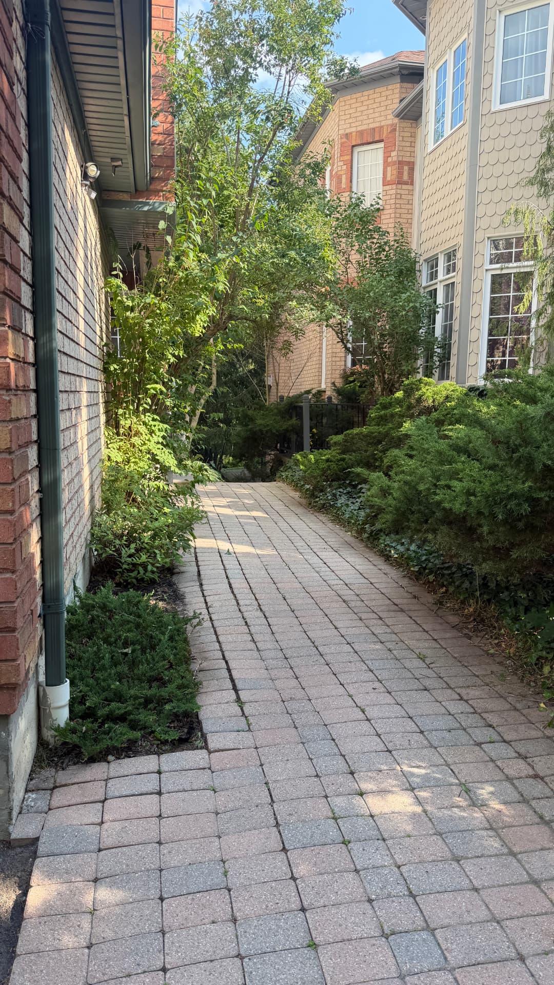 Side walkway with neatly trimmed hedges and weeded beds