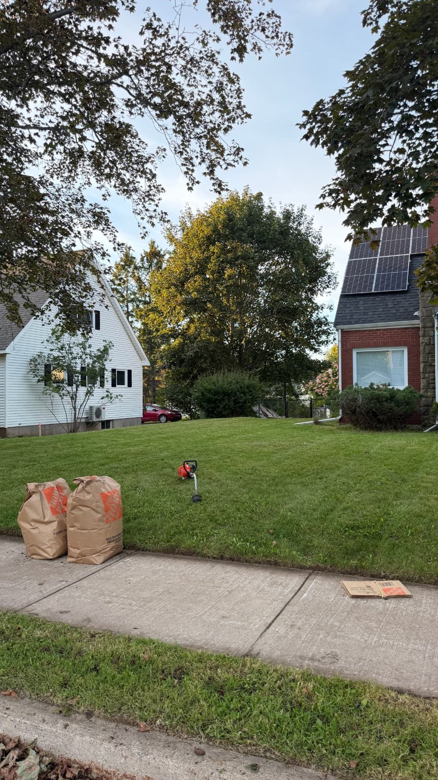 Front lawn trimmed with yard waste bagged at the curb